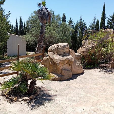 Casa Rural El Carmen De La Sierra Йекла Екстериор снимка