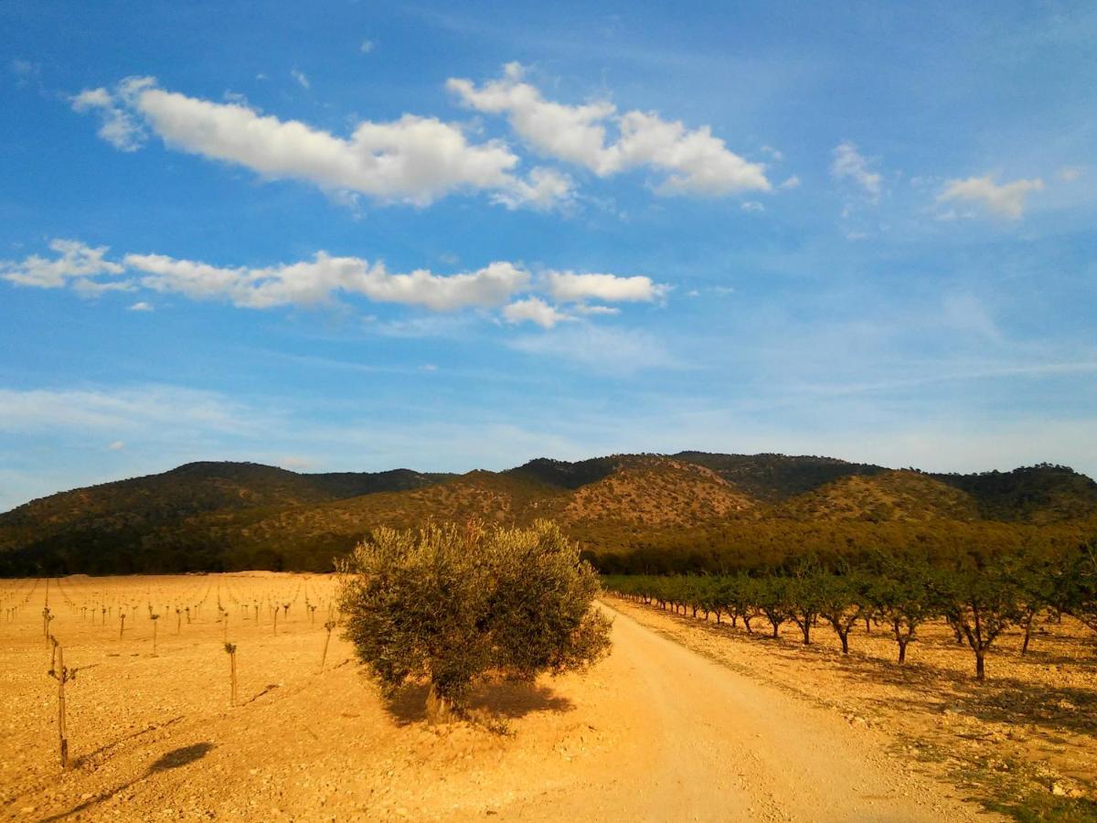 Casa Rural El Carmen De La Sierra Йекла Екстериор снимка