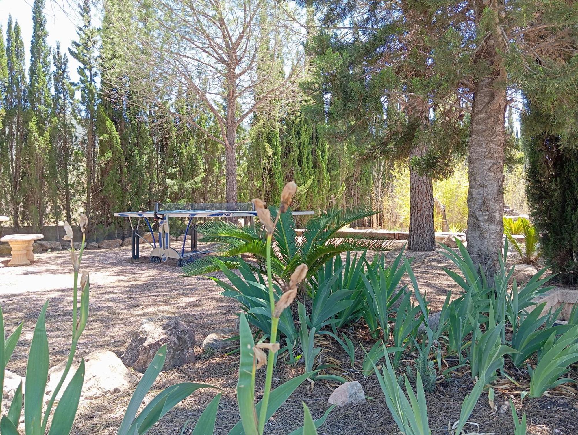 Casa Rural El Carmen De La Sierra Йекла Екстериор снимка